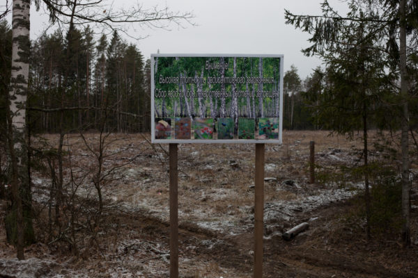 A sign warns about radioactive contamination in a forest near Zlynka (Злынка), Russia. 30 years after the 1986 Chernobyl nuclear disaster the forests in this area continue to be logged – legally and illegally – with the wood presumably used for construction, furniture, and burned for heating, further spreading contamination. Greenpeace/Greg McNevin