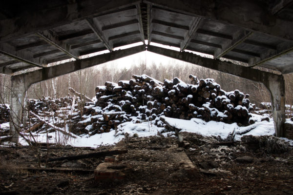 Logs piled up in a contaminated forest near Novozybkov, Russia. 30 years after the 1986 Chernobyl nuclear disaster many forests still contain elevated levels of radioactivity, but they continue to be logged both legally and illegally. Greenpeace/Greg McNevin